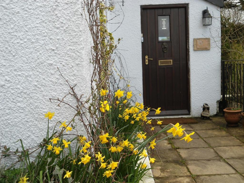 Harvest Home Guest House Tavistock  Exterior photo